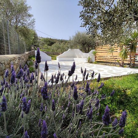 Il Canto Delle Cicale Agia Marina  Buitenkant foto